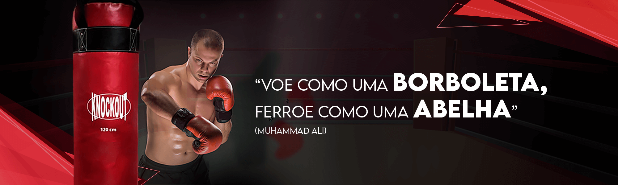boxer