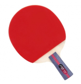 Raquete Tênis de Mesa DHS 2006