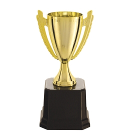 Troféu 22cm Vitória