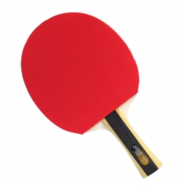 Raquete Tênis de Mesa DHS 1002