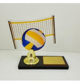 Troféu Vôlei Acrílico Vitória
