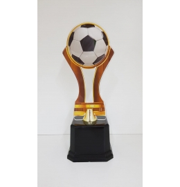 Troféu Bola Acrílico 22cm Vitória