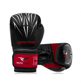 Luva de Boxe e Muay Thai South Team
