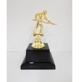 Troféu Sinuca Vitória (Ref.:600110)
