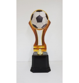 Troféu Bola Acrílico 25cm Vitória