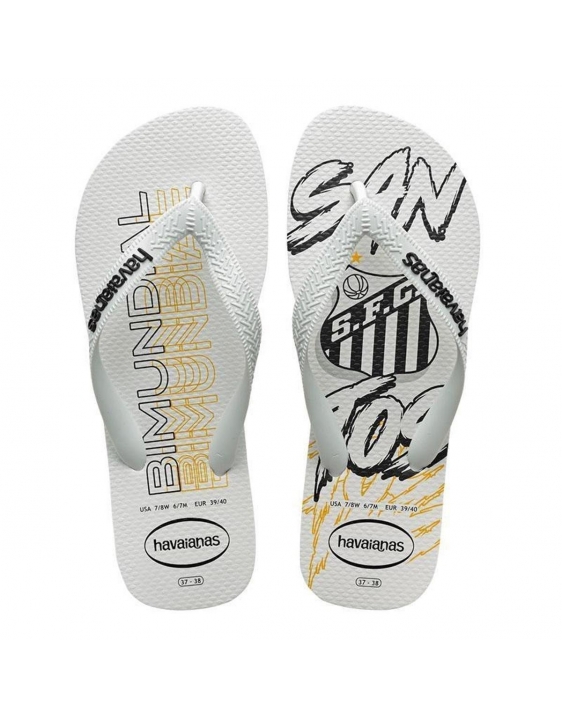 Chinelo Santos Havaianas