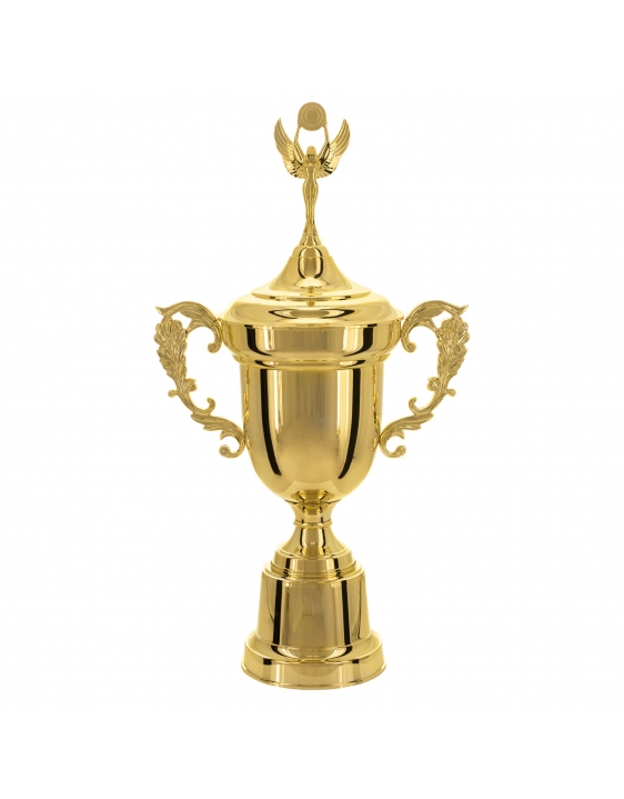 Troféu Campeão 70cm Vitória (700583)