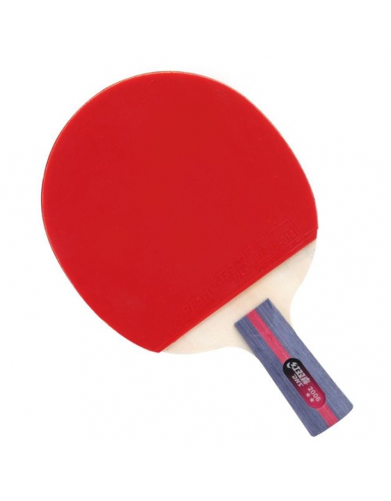 Raquete Tênis de Mesa DHS 2006