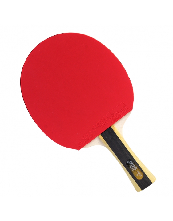 Raquete Tênis de Mesa DHS 1002