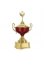 Troféu Campeão 55cm Vitória (700450)