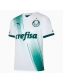 Camisa Palmeiras II Puma 23/24