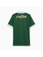 Camisa Palmeiras I Puma 24/25