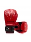 Luva de Boxe e Muay Thai South Team