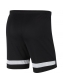 Shorts Academy Nike