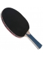 Raquete Tênis de Mesa Butterfly Addoy 2000