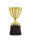 Troféu 22cm Vitória