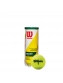 Bola de Tênis Wilson Championship Regular