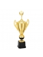 Troféu Campeão 70cm Vitória (300543)
