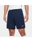 Shorts Academy Nike
