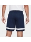 Shorts Academy Nike