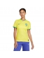 Camisa Brasil I Nike 2022/23 Feminina