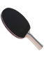 Raquete Tênis de Mesa Butterfly Addoy 3000