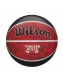 Bola Basquete Chicago Bulls Wilson