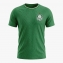 Camisa Palmeiras Masculina Torcedor HOME Betel 9926071